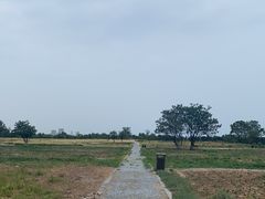 -汉长安城未央宫国家考古遗址公园