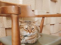 -H立方实景剧情密室(天河旗舰店)