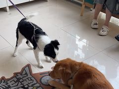 -美联众合24小时·皮肤科·外科·全科诊疗中心(华苑分院)