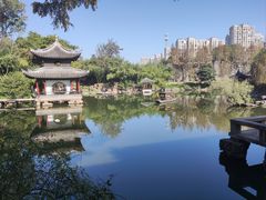 -水绘园
