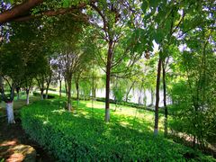 -西安汉城湖景区