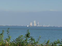 -贡湖湾湿地公园