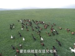 -山丹皇家马场
