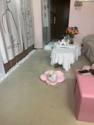点击看大图 -LIZ STUDIO日式美甲美睫