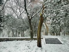 -灵谷景区