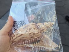 -中国湿地博物馆