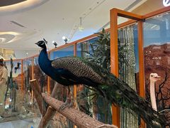 -龙湖南京江北天街