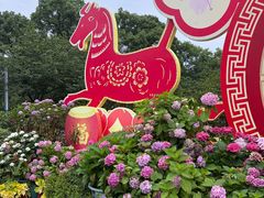 -南山植物园