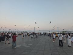 -星海湾跨海大桥