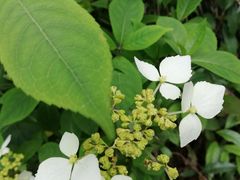 -九江市周敦颐纪念馆
