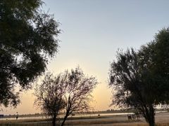 -黄沙古渡原生态旅游区