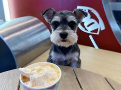 -DQ·蛋糕·冰淇淋(五角场万达店)