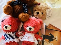 -济州岛泰迪熊博物馆