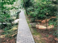 -上海佘山国家森林公园天马山园