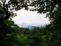 -紫金山山顶公园