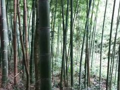 -龙窝子