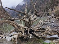 -叠溪松坪沟景区