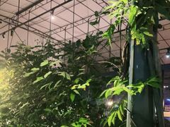 -莉莉家的音乐花园餐吧(航空路店)