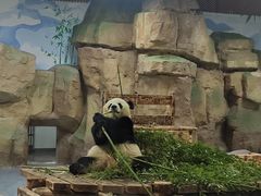 -无锡动物园·太湖欢乐园