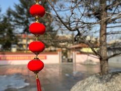 -哈尔滨极乐寺
