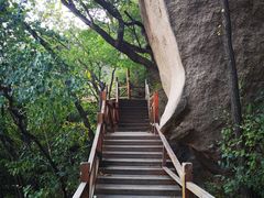 -大岭沟猕猴桃谷风景区