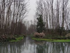 -桤木河湿地公园