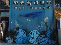 -贝壳梦幻世界