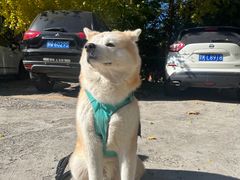 -美联众合动物医院·24h转诊中心