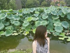 -美兰湖景区