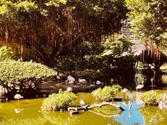 -蟠龙粉面茶餐厅