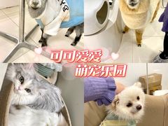 -怪兽屋·羊驼·猫咖·狗咖(俊华广场店)