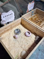 -酷嗒动物文化乐园(cutezoo西溪乐天城店)