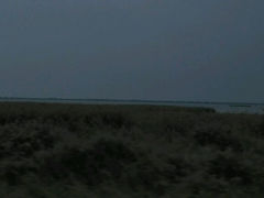 android_upload_pic-哈素海