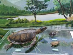 -国家自然博物馆