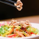 远洋鱼禅Omakase|日料爱好者的白月光  