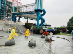 点击看大图 -季高兔窝窝亲子园(上海薰衣草公园店)