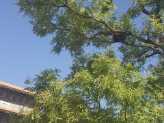 -东华门大街小区