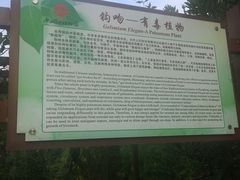 -广西壮族自治区药用植物园