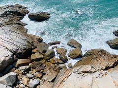 -广东惠东海龟国家级自然保护区