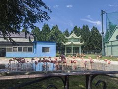 -秦皇岛野生动物园