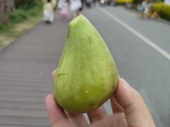 -大理洱海