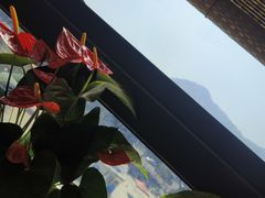 -粤点越有·茶点·粤菜(樵岭国际店)
