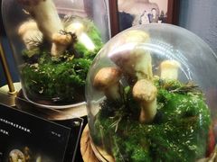 -原牛道·潮汕围炉火锅(讯美店)