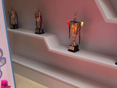 -奥冠体育华师附中恒温游泳馆