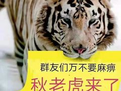 -串天下串串香(宽窄巷子店)