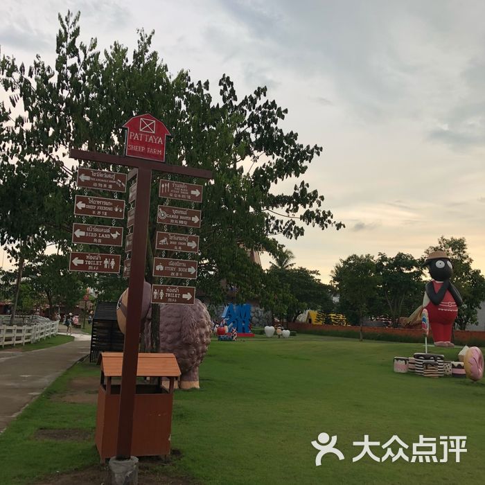 芭堤雅绵羊农场