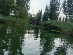 -白洋淀景区
