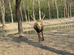 -溱湖国家湿地公园