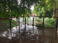 -七仙岭君澜度假酒店·桃源小馆中餐厅