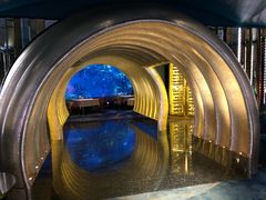 -迪拜帆船酒店海底餐厅